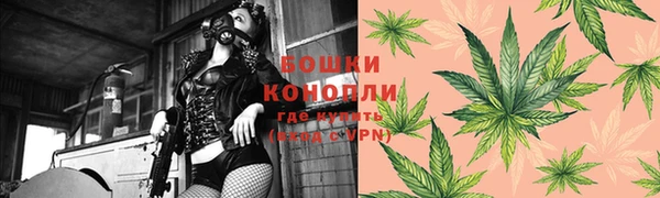 дурь Дмитров