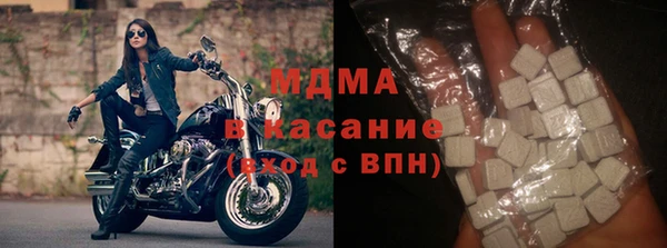 прущие грибы Дмитриев