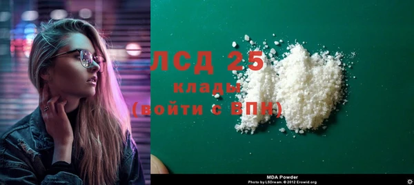 прущие грибы Дмитриев
