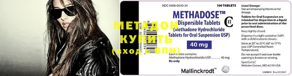 прущие грибы Дмитриев