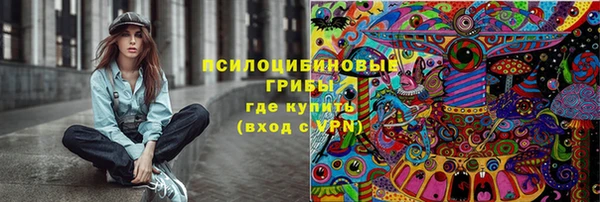 прущие грибы Дмитриев