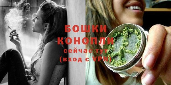 прущие грибы Дмитриев