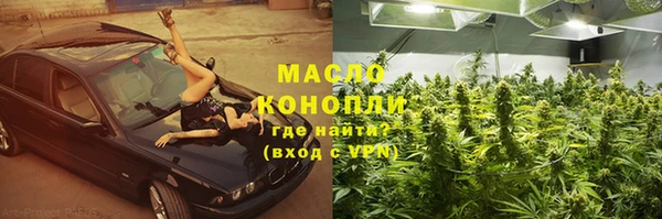 прущие грибы Дмитриев