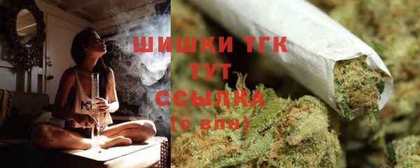 прущие грибы Дмитриев