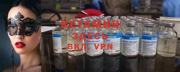 прущие грибы Дмитриев